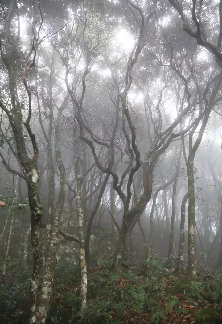 微信图片_20171130153517.jpg